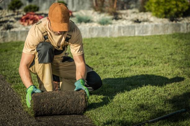 Landscaping Rochester NY