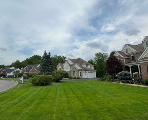 Landscaping Kenmore NY